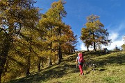 Anello del PIZZO BADILE (2044 m) da Piazzatorre il 21 ottobre 2017 - FOTOGALLERY